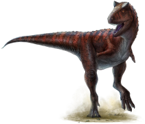 Carnotaurus