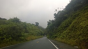 Carretera PR-184, Patillas, Puerto Rico.jpg
