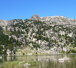 El Castell dels Lladres