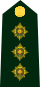 Cdn-Army-Capt(OF-2)-2014.svg