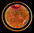 microbial art