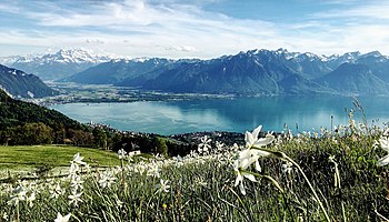 Montreux