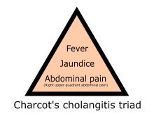 Ascending cholangitis