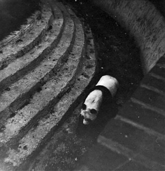Chi Chi at London Zoo, September 1967 Chi Chi, Giant Panda, London Zoo, Camden, taken 1967 - geograph.org.uk - 738608.jpg