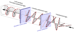 Circular.Polarization.Circularly.Polarized.Light Circular.Polarizer Creating.Left.Handed.Helix.View.svg