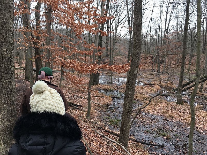 File:Clay Pit Ponds State Park Preserve First Day Hike 2021 past clay pits.jpg