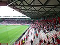 New terraces with roof 2009