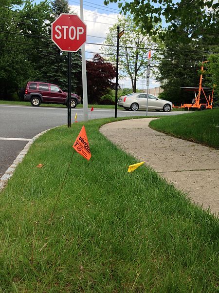 File:Colored flags for utility locating.jpg