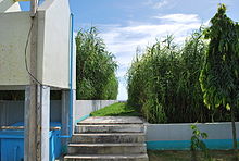 Constructed wetland for domestic wastewater treatment in Bayawan City, the Philippines Constructed wetland Bayawan City (4113800865).jpg