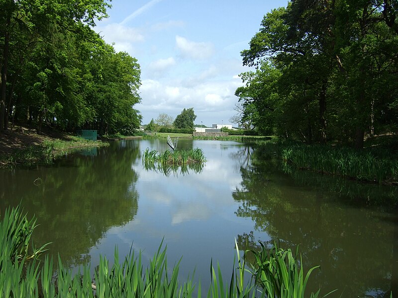 File:Dedridge Pond.jpg