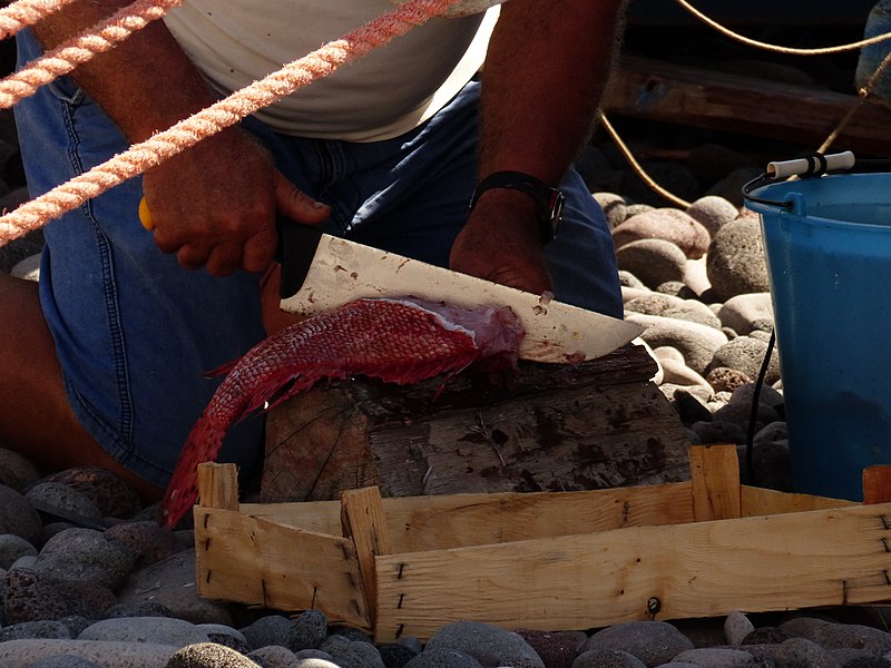 File:Despiezando pescado, Alicudi, Islas Eolias, Sicilia, Italia, 2015.JPG