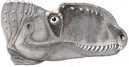 Tập_tin:Dilophosaurus_sinensis_(head).jpg