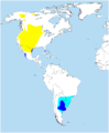 Distribution of Buteo swainsoni.png