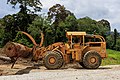* Nomination A Caterpillar forest vehicle moving heavy tropical timber truncs at the logging camp of Asiatic Lumber Industries SDN BHD at Mile 43 of Kalabakan-Sapulot-Road in District Tawau, Sabah --Cccefalon 04:28, 12 June 2014 (UTC) * Promotion Good quality imo. --Kadellar 12:16, 14 June 2014 (UTC)