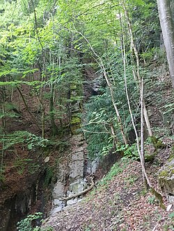 Blick beim Wasserfall auf einen Teil (rechts) des kaum erkennbaren Fallbachtobelwegs