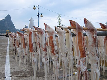 Drying squid  in Ulleungdo, Korea