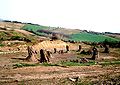 La foresta fossile di Dunarobba, nella seconda metà degli anni '80. I tronchi sono ora riparati da tettoie di protezione e l'intera area è recintata per impedirne l'accesso non autorizzato