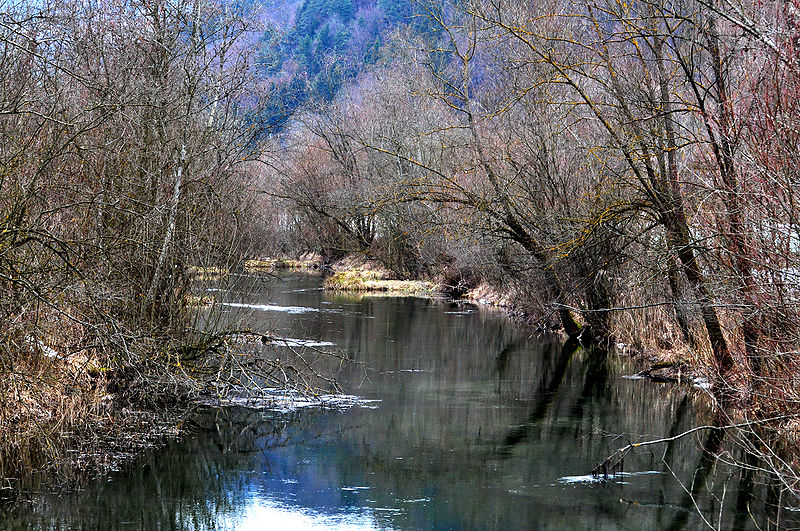 File:Ebenthal Kohldorf Aulandschaft 02032010 02.jpg