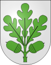 Kommunevåpenet til Eichberg