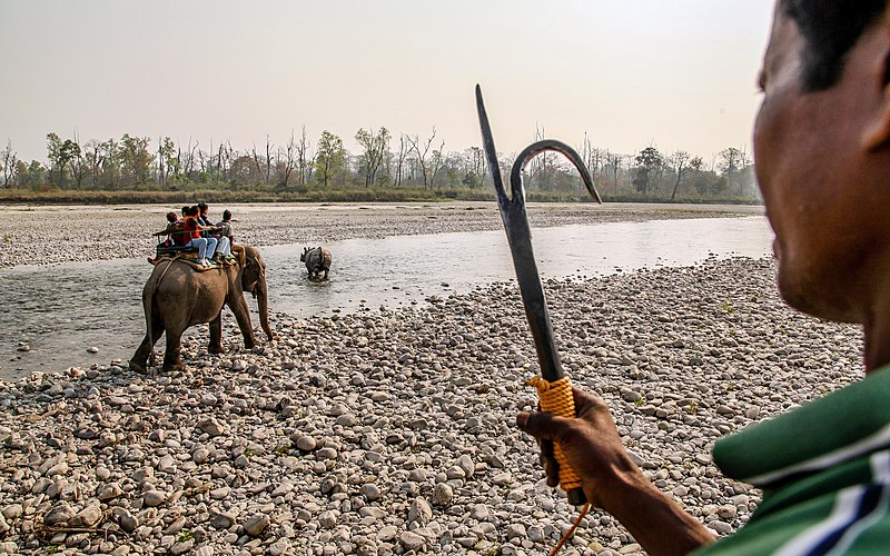 File:Elephant Safari in Jaldapara National Park.jpg