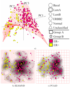 Linear PCA versus nonlinear Principal Manifolds for visualization of breast cancer microarray data: a) Configuration of nodes and 2D Principal Surface in the 3D PCA linear manifold. The dataset is curved and cannot be mapped adequately on a 2D principal plane; b) The distribution in the internal 2D non-linear principal surface coordinates (ELMap2D) together with an estimation of the density of points; c) The same as b), but for the linear 2D PCA manifold (PCA2D). The "basal" breast cancer subtype is visualized more adequately with ELMap2D and some features of the distribution become better resolved in comparison to PCA2D. Principal manifolds are produced by the elastic maps algorithm. Data are available for public competition. Software is available for free non-commercial use. Elmap breastcancer wiki.png