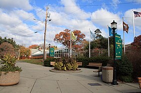 Boa Constrictor - Connecticut's Beardsley Zoo