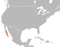 Range of Eridiphas slevini (Baja California Night Snake)