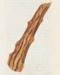 Miniatuur voor Bestand:Estense alfa.l.09.28, f.002v (detail).png