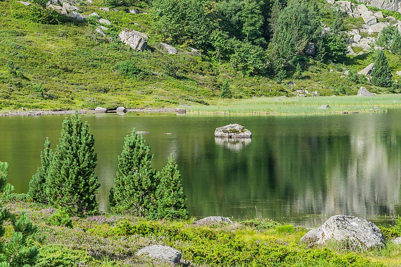 File:Etang Long de Bassies 01.jpg