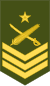 Ethiopia-Army-OR-8.svg