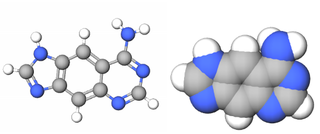 xDNA Benzo-homologated DNA analogue