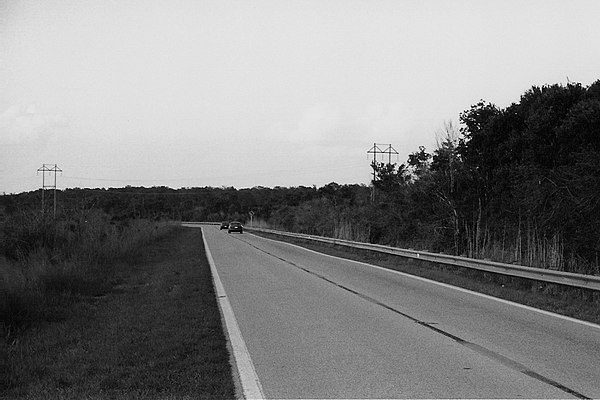 Florida State Road 29, just north of US Route 41 in Carnestown