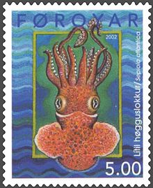 Der Tintenfisch Sepiola atlantica auf einer Färöischen Briefmarke vom 11. Februar 2002. Der amerikanisch-isländische Briefmarkenkritiker Don Brandt hierzu respektvoll: Dieses Geschöpf können nur Meeresforscher schön finden.