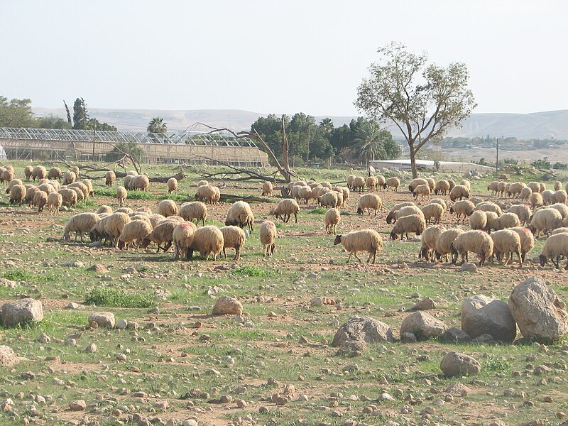 File:Fatzael Valley 042.JPG