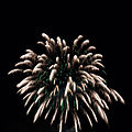 * Nomination: Fireworks in Annecy, France. --Medium69 10:45, 20 October 2015 (UTC) * * Review needed