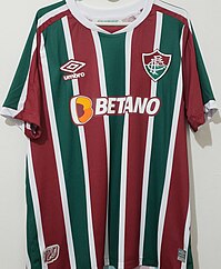 File:Jogo do Flamengo pela semifinal da Copa do Brasil de 2022.jpg -  Wikimedia Commons