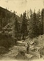 First report of game and fish warden for New Mexico. 1909-1910-1911 (1912) (14568885100).jpg