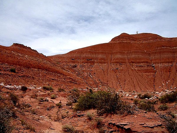 Outcrop of the formation at Auca Mahuida