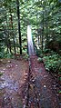 Footbridge on trail