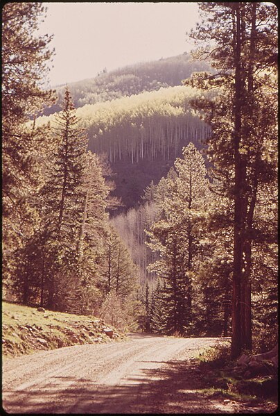 File:Forest road near West Dolores River, 05-1972. (7065691749).jpg