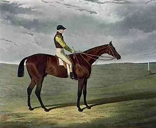 <span class="mw-page-title-main">Frederick (horse)</span> British-bred Thoroughbred racehorse
