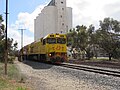 No. 2515 Shire of Kulin (formerly 2015) passing Three Springs grain silos in 2022.