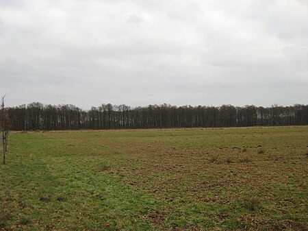 Gütersloh Spexard (Naturschutzgebiet)