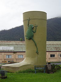 Gumboot.JPG