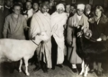 Gandhi en visite à Noailles, 1931.webp