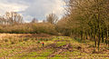 Gemarkeerde route. Locatie, natuurgebied Delleboersterheide – Catspoele.