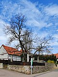 Vorschaubild für Liste der Naturdenkmäler in Vöhl