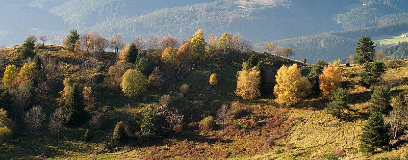 File:Glasborn (looking West) - panoramio - Francois Schnell.jpg