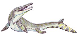 Goronyosaurus nigeriensis.