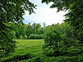 Gröditzer Skala, Blick auf offenen Wiesenbereich, verschiedene Vegetationsstufen.jpg